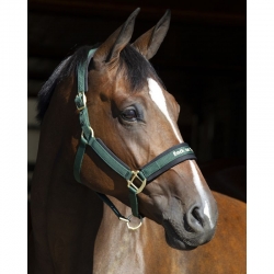 Back On Track Werano Halter / Headcollar